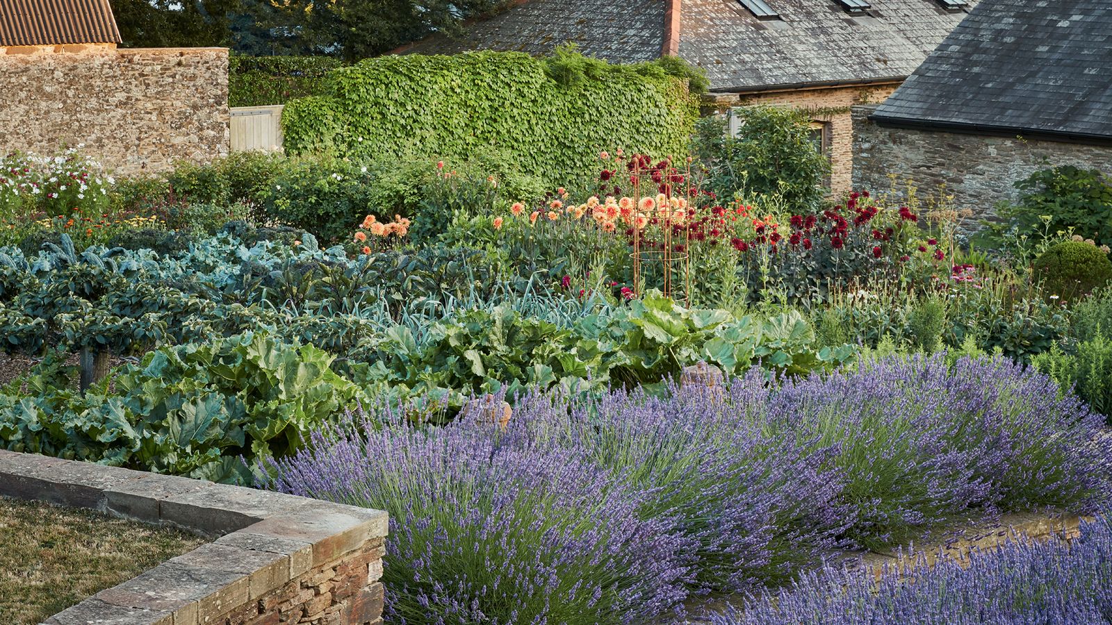 The indestructible plants you need for an easy outdoor life