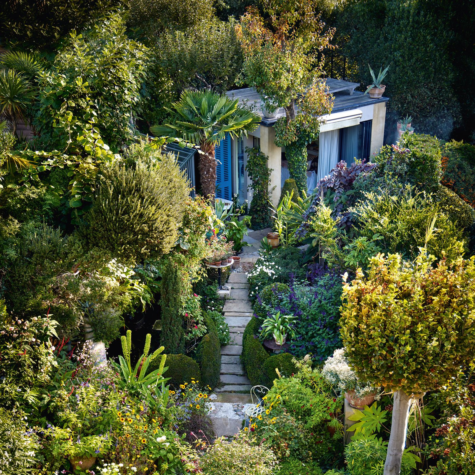 A Clapham garden where every inch is filled with lush planting