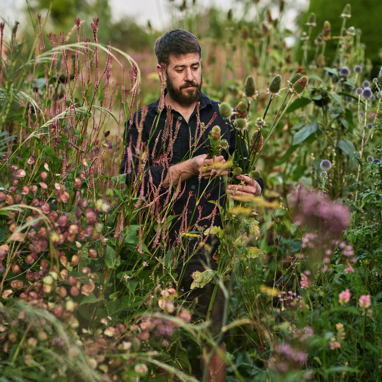 Garden designer Chris Brown on the climate-resilient plants to know about