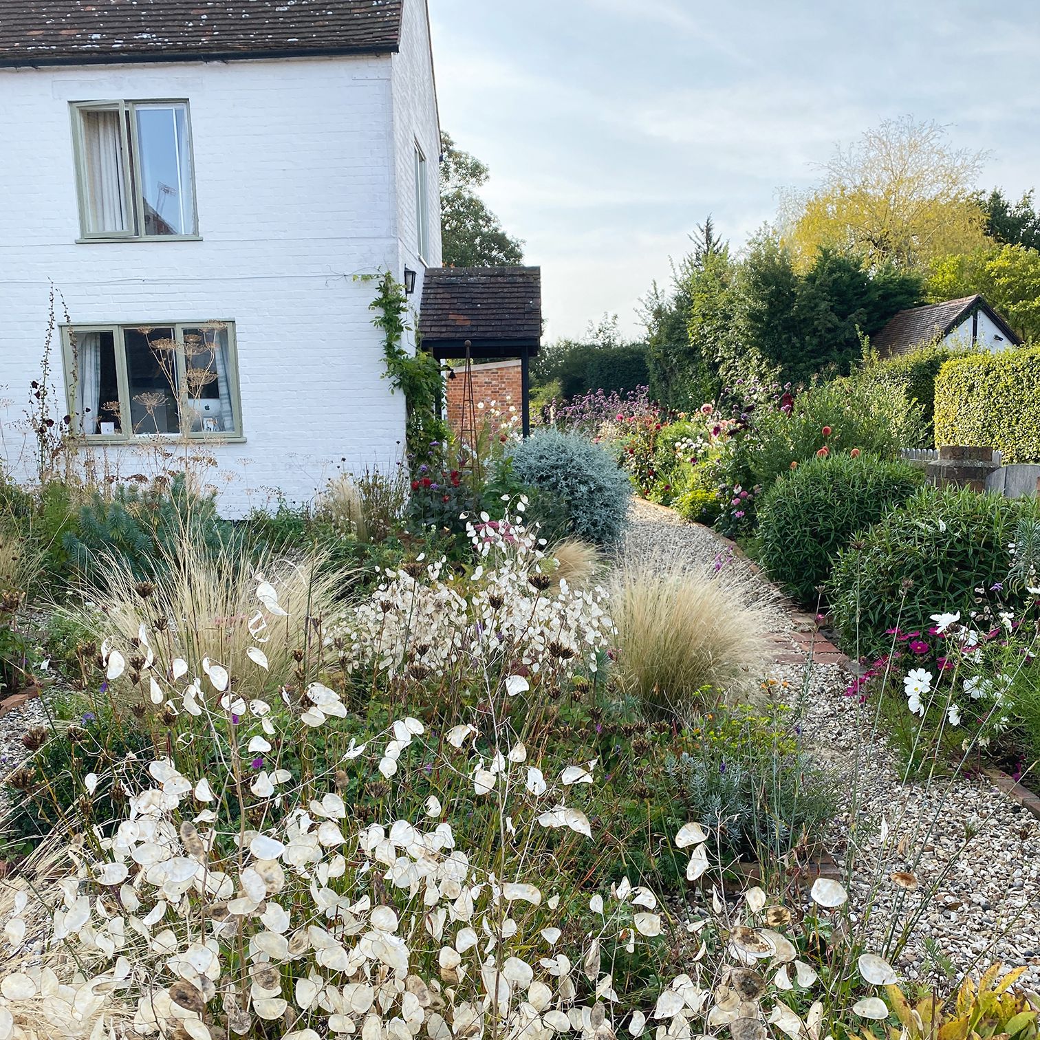 What to plant in September (and other garden tasks for the month)