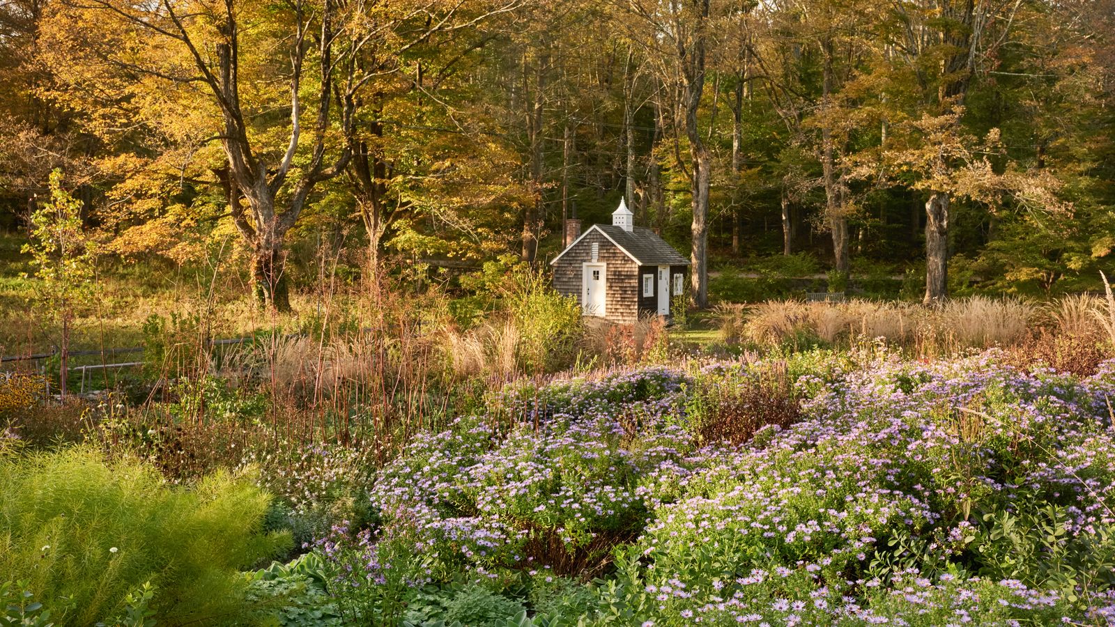 House & Garden's Top 50 Garden Designers